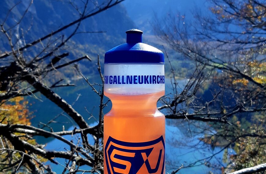 FlaschenPost: Ameisstein am Almsee