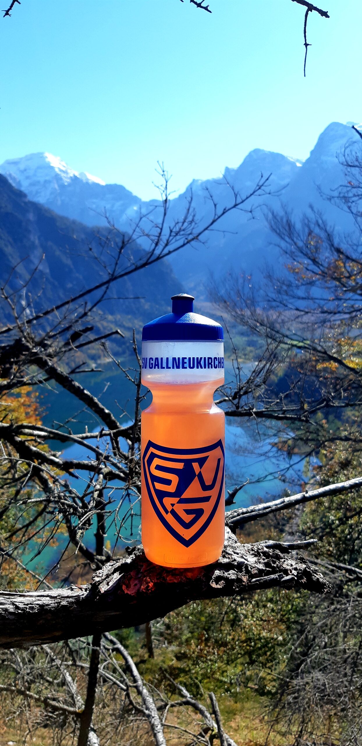 FlaschenPost: Ameisstein am Almsee