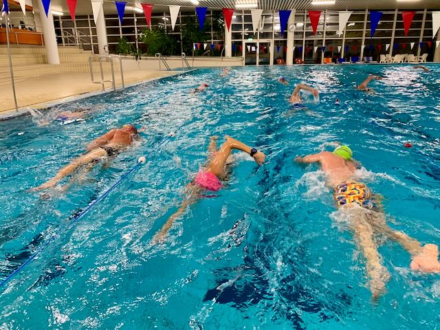 2026 Kraulkurs für Erwachsene